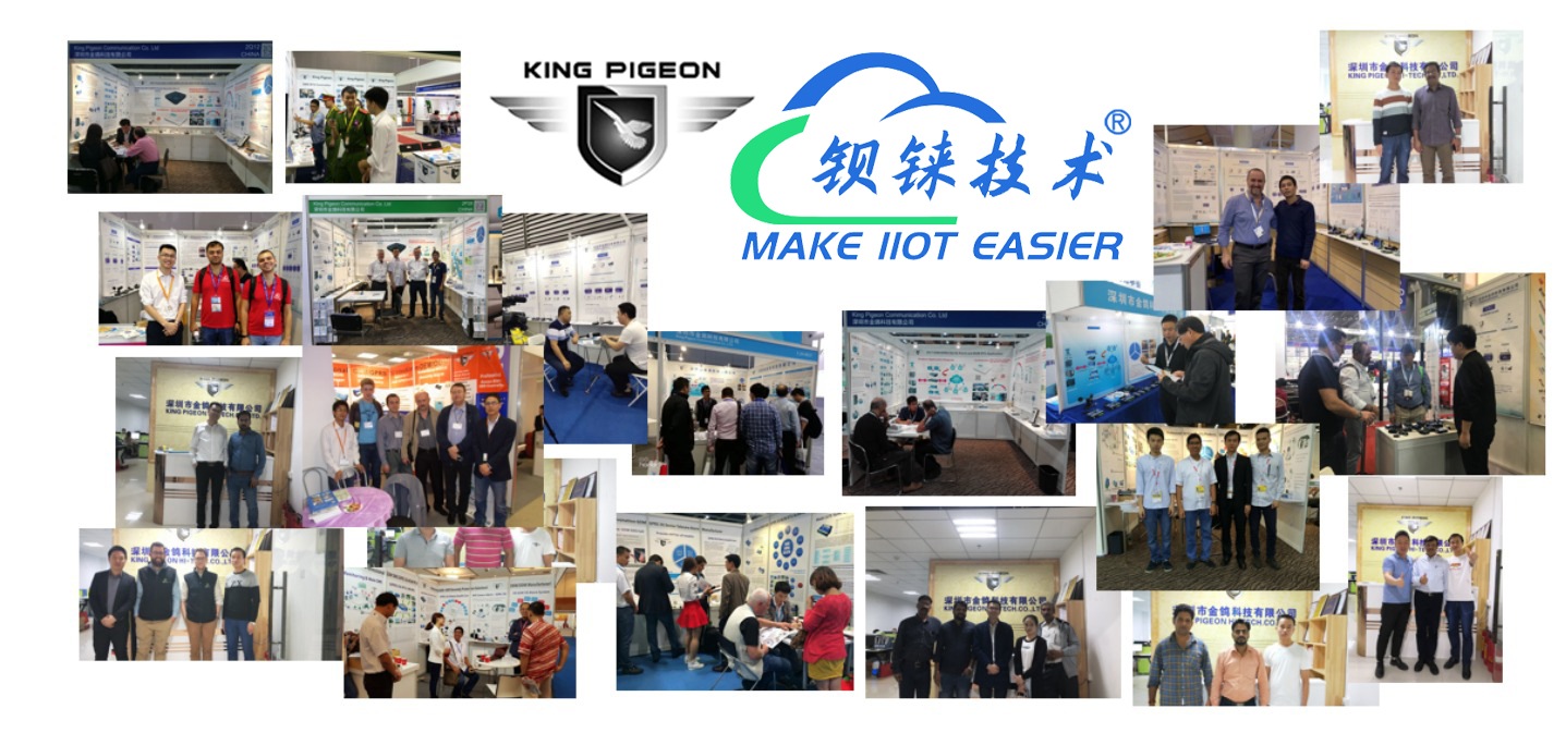 工業(yè)物聯(lián)網(wǎng)關(guān)